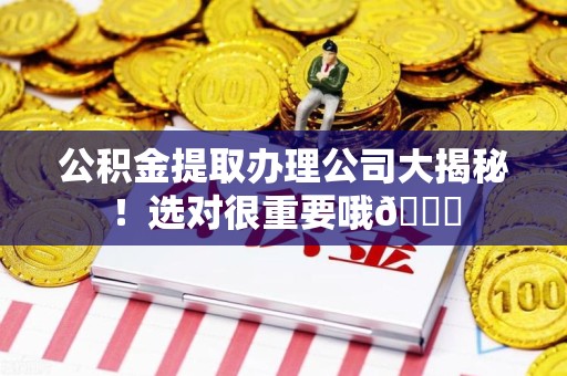 罗源公积金提取办理公司大揭秘！选对很重要哦😎